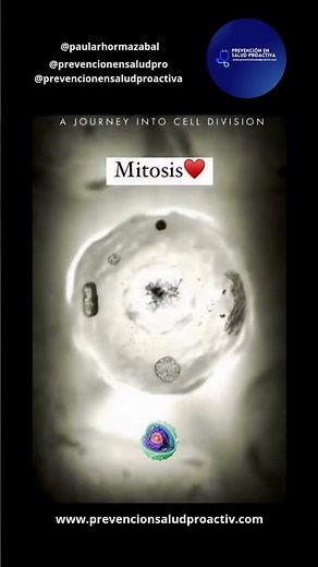 🔬¡Mitosis en Acción: La Magia de la División Celular!