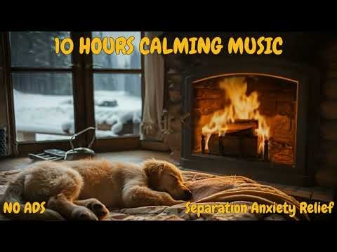 10 Hours Dog Stress Relief | Clinical Research Protocol | 432Hz Frequency