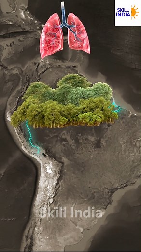 Did you know? 🤯 The *Amazon River* starts in *Peru**, flows across **Brazil**, and finally empties into the **Atlantic Ocean* — stretching an unbelievable **6,400 km**! 🌊🌎 But here’s the shocking part… There is *NOT A SINGLE BRIDGE* built over the Amazon River! 😳 Why? Because the river is surrounded by the **dense Amazon Rainforest**, also known as the **Lungs of the Earth**. With very **few cities**, **minimal roads**, and extremely low population on both sides, bridges aren’t even needed f