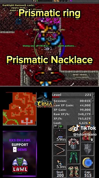 Guía Completa para el Monk en Tibia