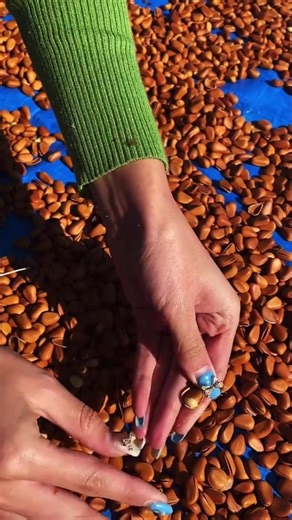 25M Pistachio Nuts Unboxing ASMR video enjoy 🩺#pistachio #dryfruits