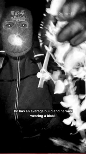 The FBI increased the reward for information leading to Nancy Guthrie's location or the arrest and conviction of those involved. The reward went from $50,000 to $100,000. The FBI's Operational Technology Division confirmed new identifying details of the suspect, described as a male, around 5’9” to 5’10” tall, with an average build, and was seen wearing a black 25-liter ‘Ozark Trail Hiker Pack’ backpack in doorbell camera footage. #News4Tucson | News 4 Tucson - KVOA