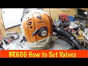 Stihl Br600 How to Set Valves DIY