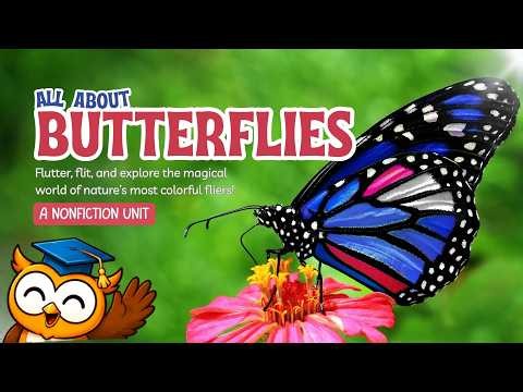 🦋 All About Butterflies | Science for Kids | Learn About Amazing Insects