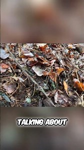 Found an EPIC Glass Dump on Secret Old Road! #shorts