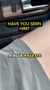 Still at large - Blue pallet bandit 😂 #fyp #jokes #construction #constructionlife #builders #foryou | On The Tools