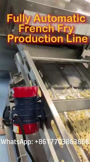 Fully Automatic French Fry Production Line | Industrial Potato Fries Processing Machine Factory
