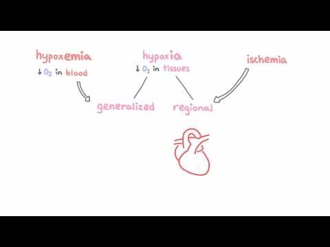 Introduction to hypoxemia