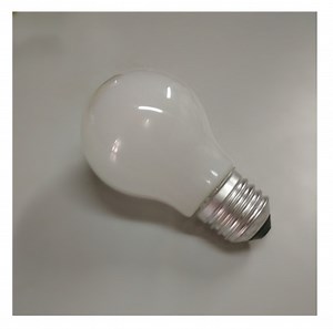 [Hot Item] 100W A55 A60 Edison Incandescent Lamp Bulb