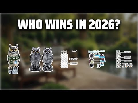 The Top 5 Best Hawk Decoy in 2026 - Must Watch Before Buying!