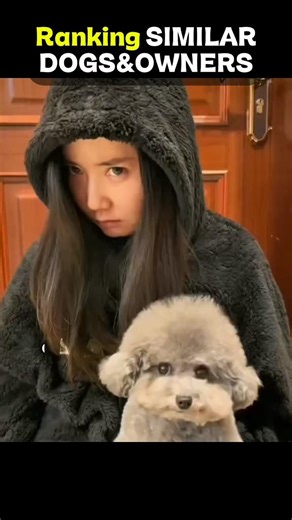 Ranking Ranking SIMILAR DOGS& their OWNERS