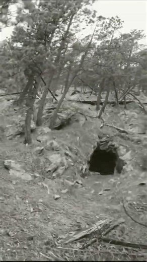 Finding an Old Mine in the Black Hills