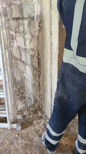 2.5K views · 12 reactions | Performing a ferroscan test on a...