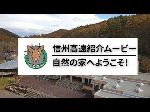 【施設紹介】信州高遠青少年自然の家 紹介ムービー