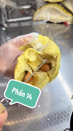 Kể chuyện phần 14: Vợ mang con, bị đồn và đổi đời vì đền bù đất