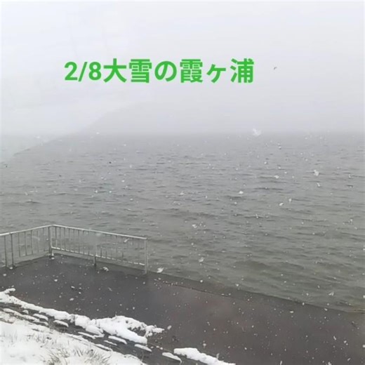 朝起きるとびっくり！？ 茨城県では珍しい大雪警報！ 積雪は3〜4cm程度であろうか。 一面真っ白です。#米 #霞ヶ浦 #大雪 #雪 #選挙 #阿見町 #茨城県