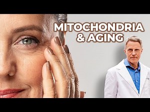 Mitochondria & Aging - FORD BREWER