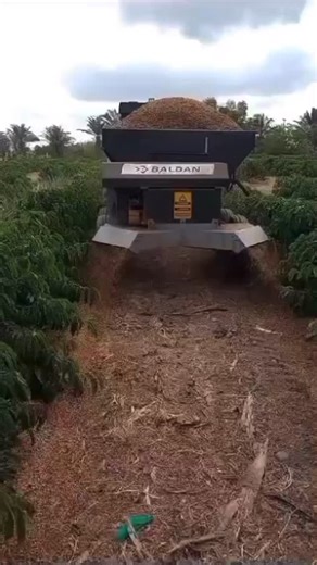 Thales Fernandes Leal on Instagram: "DCF-CO Séries 3000 / 6000 / 8000 – Distribuidor de Calcário, Fertilizante e Composto Orgânico Se você busca uniformidade na aplicação, robustez e alta capacidade operacional, o DCF-CO é a escolha ideal para propriedades que exigem rendimento e eficiência no campo. ✅ Capacidades de carga: • 3000 – 1,60 m³ • 6000 – 2,80 m³ • 8000 – 3,80 m³ ✅ Esteira de aço modulado – 800 mm Maior resistência e fluxo constante do material. ✅ Rodado Tandem (6000 e 8000) Mais esta