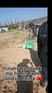 147K views · 3.5K reactions | Finally I went to nze farm land in China and put seed yam  for him and to harvest more quantity iseee isee isee. | NTI TV | Facebook