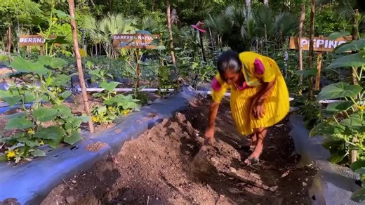 As drought breeds hunger in Guatemala, farming program aims to help