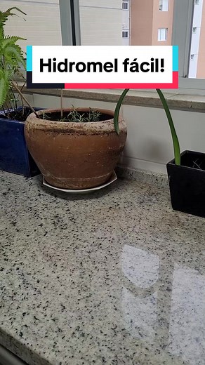 Como Fazer Hidromel em Casa Sem Equipamento