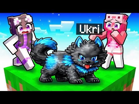I'm pretending to be a BABY WEREWOLF on a One Chunk in Minecraft!