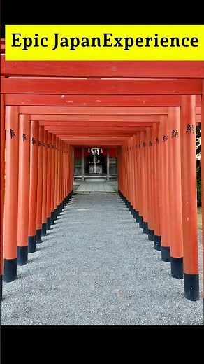 Kumamoto is the best place to eat and watch the castle #kumamoto #kumamon #japanesefood #hiddengem