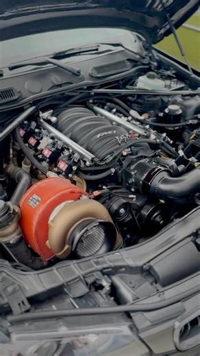 2008 BMW 135i Coupe | Auto Lineage