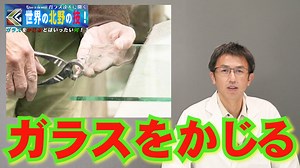 ガラスカッターの使い方を紹介！ガラスカットに使うヤットコの使い方やガラスの割り方を詳しく解説！