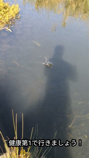 #ハンドメイドルアー #トラウトフィッシング #グリグリメソッド #ストップ＆ゴー#ミノー#ビックミノー