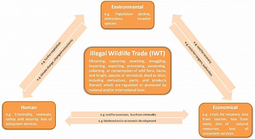 This is one of the world’s largest – and most profitable – criminal activities, according to INTERPOL