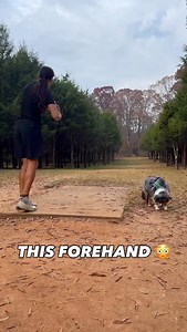 Send this to a forehand thrower 🫡 360 to the pin = @throwjoes_ @holls_17 Tour Series Vulture! Right under the basket! No ace but will keep going for this iconic ace! 🔥 #forehand #forehands #sidearm #golf #golfswing #pga #golfaddict #goodgood #discgolfeveryday #discgolfnation #frisbee #discgolflove #discgolf | Queen City Disc Golf