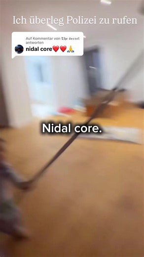 Understanding the Nidal Core: Insights and Analysis