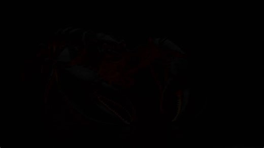 TraderClaw was never just a trading tool. What’s happening now is something deeper.Most people think tools win in crypto. Better UI, faster execution, more features does not keep people, culture does. Utility brings users in, but identity is what makes them stay, contribute, and build.@traderclawAI started as a system, a structured way to trade using multiple agents handling data, execution, and risk. Everything was built around performance. But performance alone doesn’t build ecosystems, it cre