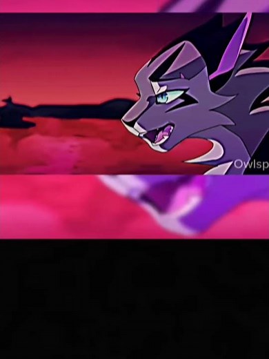 Ivypool VS mothwing //