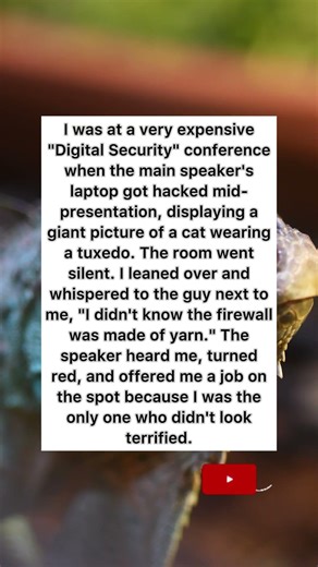 Cyber Security Conference Fail 🐱 #hacker #funny #shorts