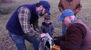 4.6K views · 199 reactions | Happy to have an extra pair of (small) hands helping us on a recent duck banding trip. Emitt, we think you have a great future ahead as a wildlife biologist! 閭 | Massachusetts Division of Fisheries & Wildlife | Facebook