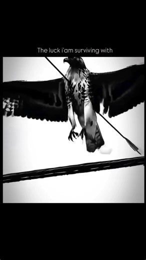 they think I'm lucky #shorts #trending