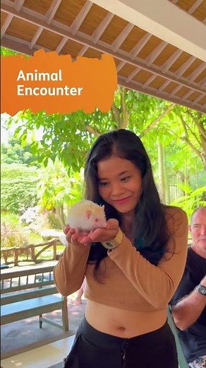 Things To Do In Bali Zoo