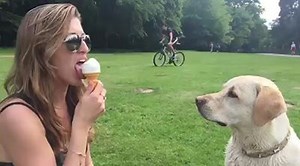 When they offer you a bite of their food without knowing the real you... | Tyla