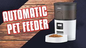 Watch Timed pet feeder to always keep your cats fed on Amazon Live