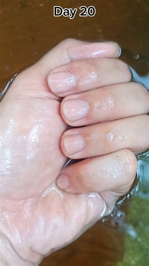 Quá Trình Phát Triển Của Lia Thia Hoang Dã Alien Green Như Thế Nào ?