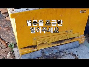 Easy Management Tips for Native Honeybee Hives (Part 2)
