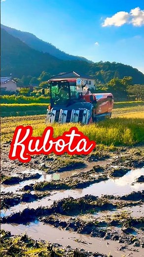 Kubota DR6130 130馬力コンバインで刈り取りSTAR🏃‍♂️#kubota #harvester #harvestermachine #harvesters #combine