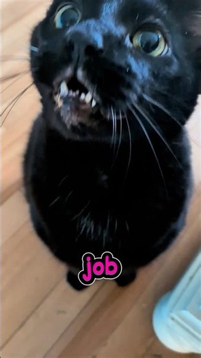 Best Job Ever! Check it Out!