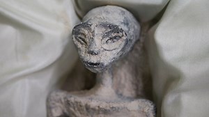 I saw the UFO mummies firsthand - I don't believe they're aliens or a hoax