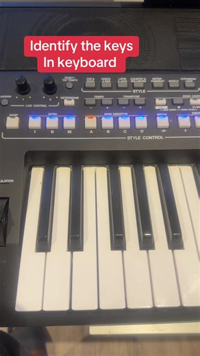 Identify the keys in keyboard #keyboard #pianotutorial #simpleprogression #learnpiano #wisdom