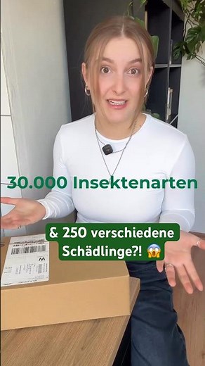 Schädlinge im Haushalt oder Garten: Wie viele Arten gibt es wirklich und wann ist Hochsaison? 🤔