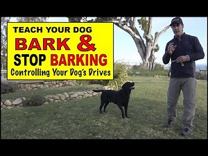 Teach Your Dog to BARK - Teach Your Dog to STOP Barking - Build Drive - Dog Training Video