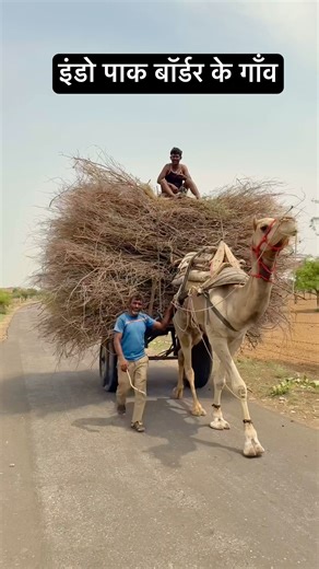 इंडो पाक बॉर्डर के गाँव 🥰 #villagelife #gaon #desi #village #desert #border #registhan #ytshorts